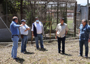 En la reunión participaron la viceministra del MAGA, Mayra Motta; la directora de Sanidad Animal, Eugenia Paz; el representante del OIRSA, Herber Morales; autoridades de la Facultad de Veterinaria de la USAC y representantes del sector porcicultor. / Foto: MAGA