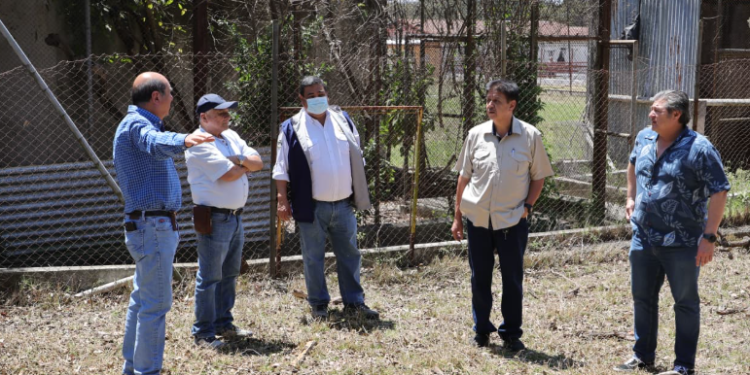 En la reunión participaron la viceministra del MAGA, Mayra Motta; la directora de Sanidad Animal, Eugenia Paz; el representante del OIRSA, Herber Morales; autoridades de la Facultad de Veterinaria de la USAC y representantes del sector porcicultor. / Foto: MAGA
