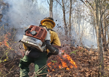 Conred llama a ser responsables con el uso del fuego./Foto: Conred.