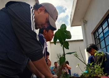 Ministerio de Salud desarrolló capacitación sobre medicina ancestral y pertinencia cultural. (Foto: MSPAS)