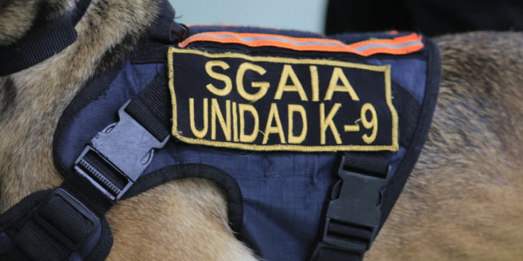 El fortalecimiento de estos equipos mejora la operatividad en campo. / Foto: Mingob