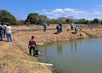 Productores zacapanecos conocen sobre producción acuícola./Foto: MAGA.