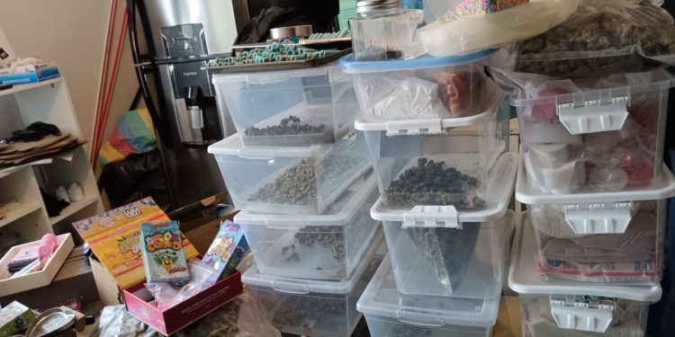 Las autoridades reportaron el decomiso de un millón 295 mil 370 quetzales en efectivo, además de una amplia lista de evidencias. / Fotos: PNC