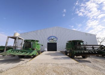 Con este centro, se espera mejorar el manejo del grano, elevar su calidad y abrir nuevas oportunidades comerciales para los productores de maíz en Petén. / Foto: Con este centro, se espera mejorar el manejo del grano, elevar su calidad y abrir nuevas oportunidades comerciales para los productores de maíz en Petén. / Foto: Gilber García