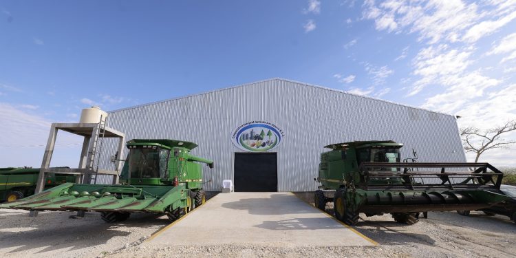 Con este centro, se espera mejorar el manejo del grano, elevar su calidad y abrir nuevas oportunidades comerciales para los productores de maíz en Petén. / Foto: Con este centro, se espera mejorar el manejo del grano, elevar su calidad y abrir nuevas oportunidades comerciales para los productores de maíz en Petén. / Foto: Gilber García