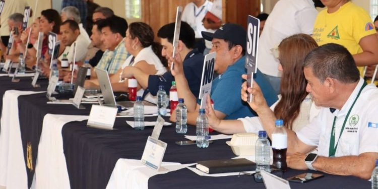 Codede de Petén fortalece coordinación y seguimiento de acciones en su reunión ordinaria