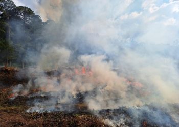 Alta Verapaz fortalece capacidades para la prevención y control de incendios forestales