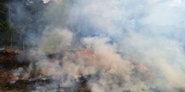 Alta Verapaz fortalece capacidades para la prevención y control de incendios forestales