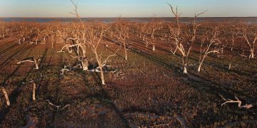 El colapso de gran cantidad de hábitats por el cambio climático amenaza la biodiversidad del planeta.