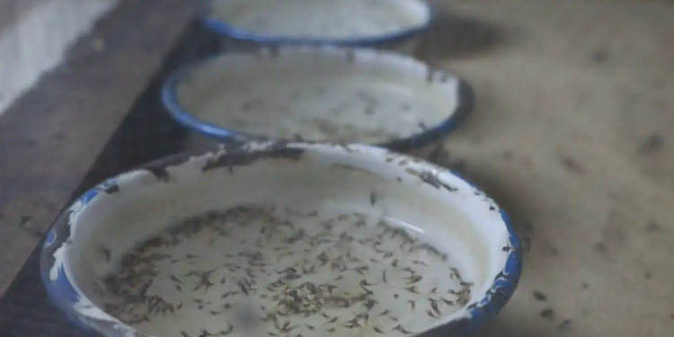 El BID reconoce a Guatemala en la consolidación de su capacidad para la eliminación de la malaria. (Foto: MSPAS)