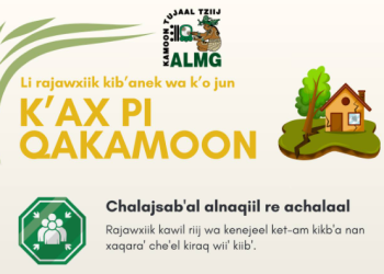 ALMG difunde infografías de prevención en sakapulteko./Foto: ALMG.