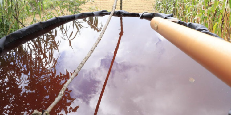 Ante este escenario, el MAGA destaca que la variabilidad climática exige acciones inmediatas para conservar la humedad del suelo y aprovechar al máximo el recurso hídrico disponible. / Foto: MAGA