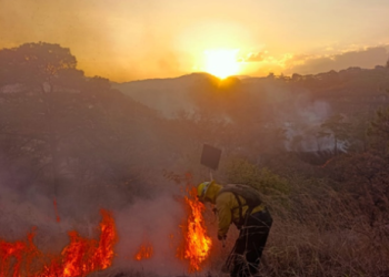 Instituciones se coordinan para combatir y prevenir incendios forestales./Foto: Conred.