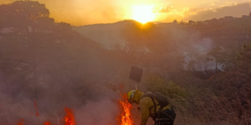 Instituciones se coordinan para combatir y prevenir incendios forestales./Foto: Conred.