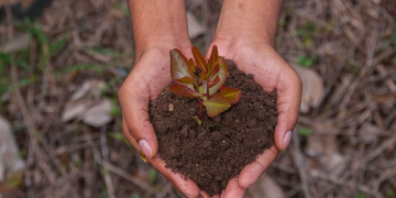 Cada 22 de abril se conmemora el Día Mundial de la Tierra. (Foto: MAGA)