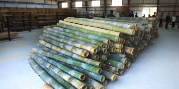 El modelo también permite a los productores aprovechar tierras disponibles, diversificar sus fuentes de ingreso- / Foto: MAGA