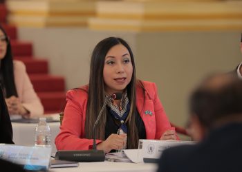 Diaco habilitará Alerta Diaco Combustibles para reportar especulación de precios. / Foto: Diaco.