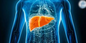 Nueva técnica en laboratorio sobre cultivo de tejido hepático abre vía para terapias por lesiones en el hígado.