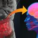 Descubren relación entre presencia de variantes de la microbiota intestinal y la propensión a padecer parkinson.