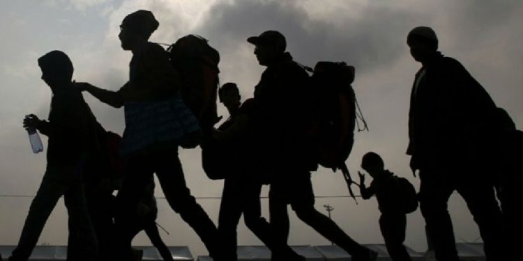 El flujo migratorio a través de Centroamérica, hacia el norte, cayó drásticamente en 2025.