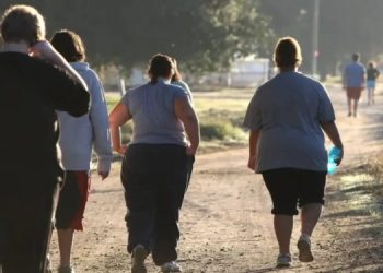 Estudio revela efectos a largo plazo de la obesidad en el sistema inmunitario.
