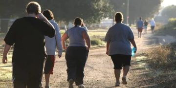 Estudio revela efectos a largo plazo de la obesidad en el sistema inmunitario.