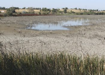 La sequía y la desertificación son cada vez más graves em diferentes regiones del planeta.