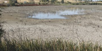 La sequía y la desertificación son cada vez más graves em diferentes regiones del planeta.