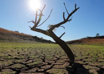 Investigadores prevén que el calor y la sequía pondrá en riesgo la vida de millones de personas a finales de siglo.