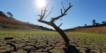 Investigadores prevén que el calor y la sequía pondrá en riesgo la vida de millones de personas a finales de siglo.