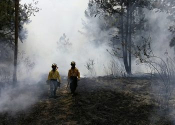 Conap conmemora el Día Internacional del Combatiente de Incendios Forestales. (Foto:Conap)
