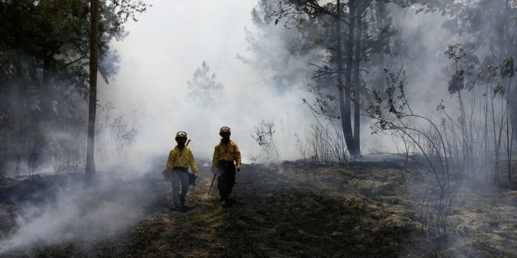 Conap conmemora el Día Internacional del Combatiente de Incendios Forestales. (Foto:Conap)