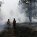 Conap conmemora el Día Internacional del Combatiente de Incendios Forestales. (Foto:Conap)