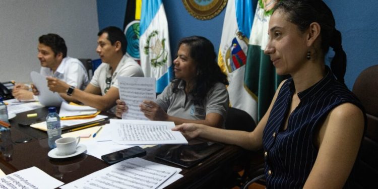 Eligen a 29 músicos que conformarán la Orquesta Sinfónica Regional de Oriente./Foto: MCD.