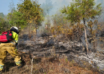 Temporada de incendios 2026 ya registra más de mil 300 incendios./Foto: Conred.
