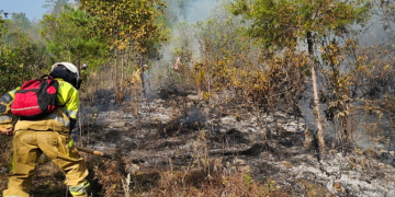 Temporada de incendios 2026 ya registra más de mil 300 incendios./Foto: Conred.