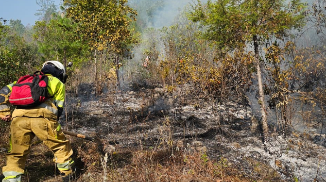 Temporada de incendios 2026 ya registra más de mil 300 incendios./Foto: Conred.