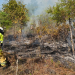 Temporada de incendios 2026 ya registra más de mil 300 incendios./Foto: Conred.