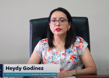 Ministerio de Energía y Minas informa sobre los precios de referencia de combustibles