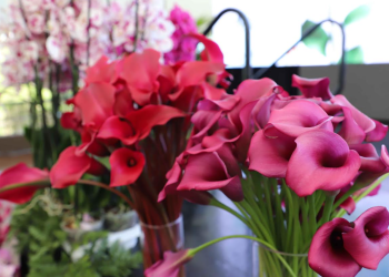 Día de la Madre eleva hasta 10 % las exportaciones de flores. / Foto: Agexport.