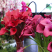 Día de la Madre eleva hasta 10 % las exportaciones de flores. / Foto: Agexport.