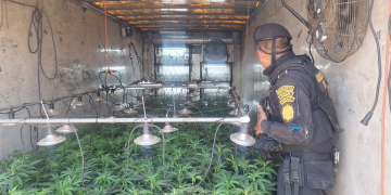 Localizan furgones utilizados para cultivar marihuana. / Foto: PNC.