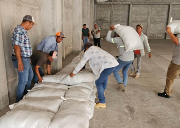 Entrega de alimentos por parte del MAGA. / Foto: MAGA.
