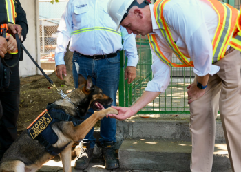 Estos canes cumplen una función irremplazable, ya que su capacidad olfativa permite detectar narcóticos y contrabando. / Foto: Embajada