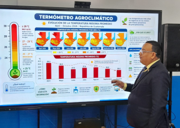 MAGA se prepara ante canícula prolongada que se prevé entre julio y agosto. / Foto: Brenda Larios.