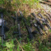 Incautan fusiles de grueso calibre durante operativo en Las Cruces, Petén./Foto: Ejercito.