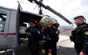 El decomiso corresponde a 117 kilos de cocaína localizados en un narcolaboratorio desmantelado el pasado martes. / Foto: Alex Jacinto.