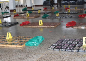 Cargamento de 800 paquetes de cocaína fue incautado./Foto: PNC.