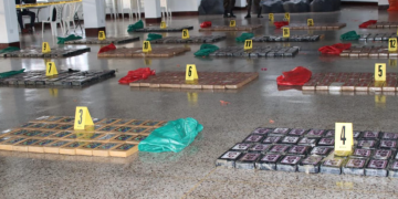 Cargamento de 800 paquetes de cocaína fue incautado./Foto: PNC.