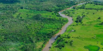 Aunque la deforestación se ha reducido, los bosques continúan bajo presión, señala la ONU.